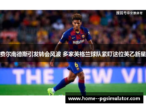 费尔南德斯引发转会风波 多家英格兰球队紧盯这位英乙新星