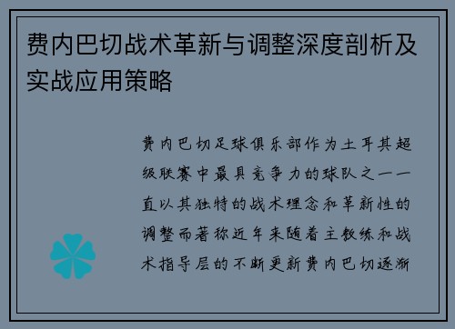 费内巴切战术革新与调整深度剖析及实战应用策略