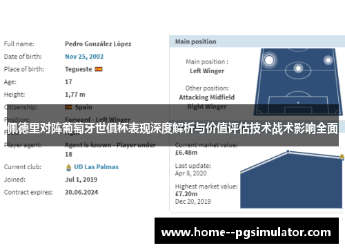 佩德里对阵葡萄牙世俱杯表现深度解析与价值评估技术战术影响全面 佩德里对阵葡萄牙世俱杯表现深度解析与价值评估技术战术影响全面