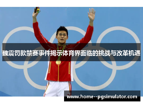 魏震罚款禁赛事件揭示体育界面临的挑战与改革机遇